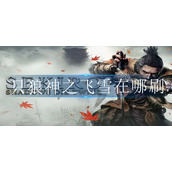 只狼神之飞雪在哪刷