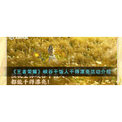《王者荣耀》峡谷干饭人干得漂亮活动介绍