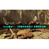 Steam喜加一：《战锤末世鼠疫2》免费领取策略
