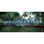 csgo怎么关闭队友头上的名字