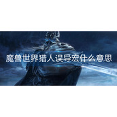 魔兽世界猎人误导宏什么意思