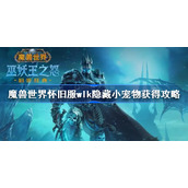 魔兽世界怀旧服wlk隐藏小宠物获得攻略-wlk隐藏小宠物收集指南