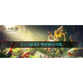 小小蚁国野怪怎么孵化