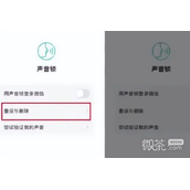 微信新增删除声音锁功能一览