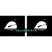 木鱼app功能作用介绍