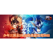 少年三国志2礼包码最新2022