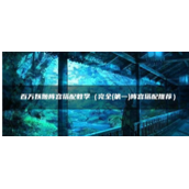 百万妖姬阵容怎么搭配