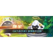 《QQ飞车手游》宠物绵羊介绍