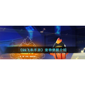 《QQ飞车手游》宠物燃鹅介绍