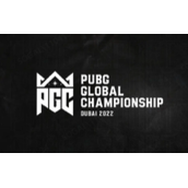 PGC2022全球总决赛落下帷幕，17战队夺得亚军迈向2023