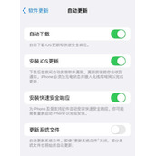 苹果快速安全响应是什么意思