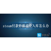 steam付款后游戏没入库怎么办
