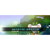 《QQ飞车手游》宠物考拉介绍