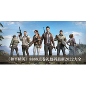和平精英8888点券礼包码是多少_和平精英8888点券礼包码分享
