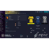 fm2023皮肤如何使用
