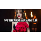 你可是程潇的唯一关注是什么梗
