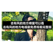 去有风的地方哪里可以看-去有风的地方电视剧免费观看完整版