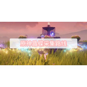 原神晶蝶采集路线