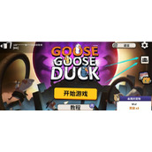 鹅鸭杀怎么联机