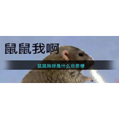 鼠鼠我呀是什么意思梗