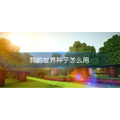 我的世界种子怎么用