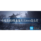 生化危机8吸血鬼夫人boss怎么打