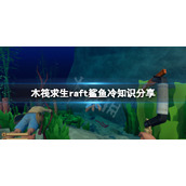 木筏求生鲨鱼有什么小知识