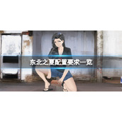 东北之夏配置要求高吗