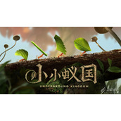 小小蚁国特化蚁类型一览