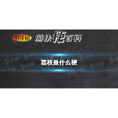 荔枝是什么梗