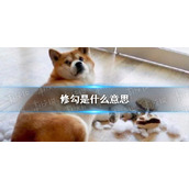 修勾是什么意思