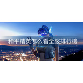 和平精英怎么看全服排行榜