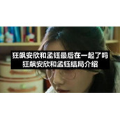 狂飙安欣和孟钰最后在一起了吗-狂飙安欣和孟钰结局介绍