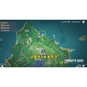 原神2.8版本海灵芝在哪里采集？