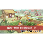 解忧小村落如何养鸡方法一览