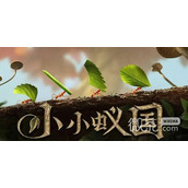 小小蚁国永久兑换码2023一览