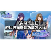 《实习班主任》游戏界面选项功能怎么样