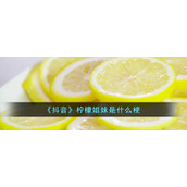 《抖音》柠檬姐妹是什么梗