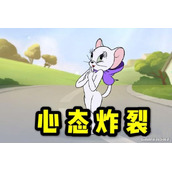 玩猫咪最容易出现的几种错误你中了几点