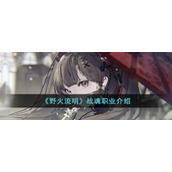 《野火流明》战魂职业介绍
