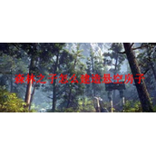 森林之子怎么建造悬空房子？森林之子悬空房子攻略