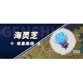 原神3.5版海灵芝收集路线一览