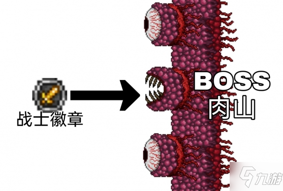 《泰拉瑞亚》战士毕业饰品有推荐吗 毕业饰品推荐及收集方式