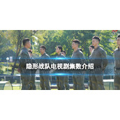 隐形战队一共多少集隐形战队集数介绍