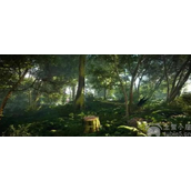 森林之子十字弩在哪十字弩详细位置图文指南
