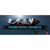 无尽噩梦5怨灵咒内丹位置介绍