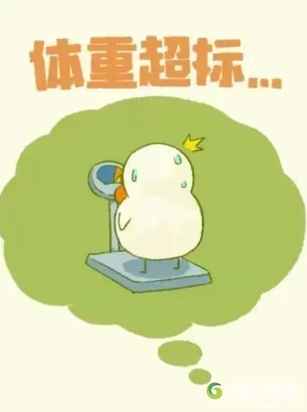 肥鹅健身房兑换码真实有效