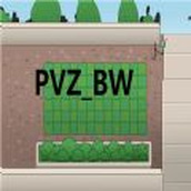 PVZBW安装包