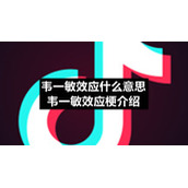 韦一敏效应什么意思韦一敏效应梗介绍