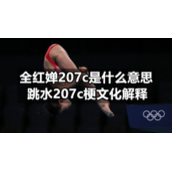 全红婵207c是什么意思跳水207c梗文化解释